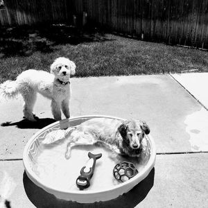 Meet your Posher, Angie